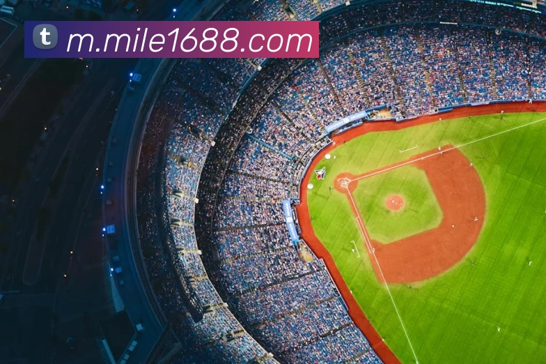 米乐mileAPP 封面图